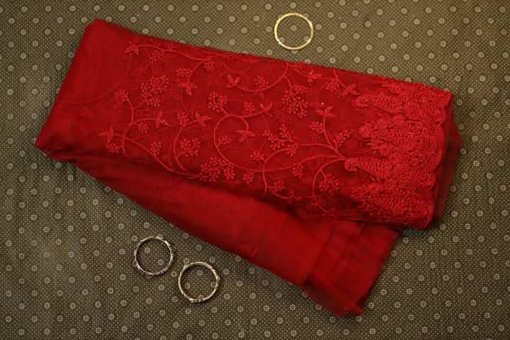 Soft Net with embroidery Sharee